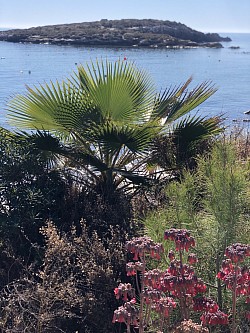 Isla Plana, Cartagena