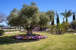 Condado de Alhama resort